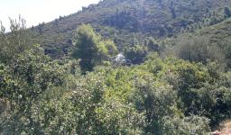 Εορτασμός της Μεταμορφώσεως του Σωτήρος