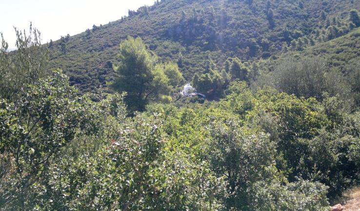 Εορτασμός της Μεταμορφώσεως του Σωτήρος